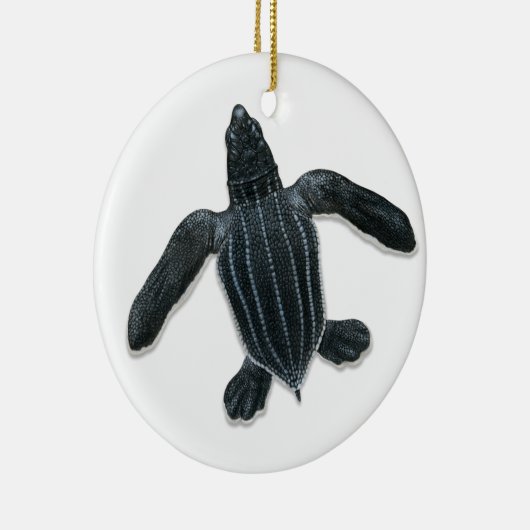Leatherback Zee Turtle Hatchling Ornament (Rechts)