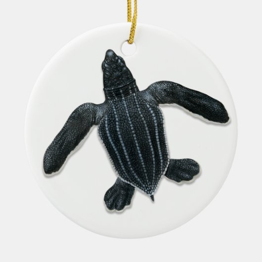 Leatherback Zee Turtle Hatchling Ornament (Voorkant)