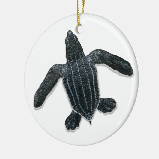 Leatherback Zee Turtle Hatchling Ornament (Links)