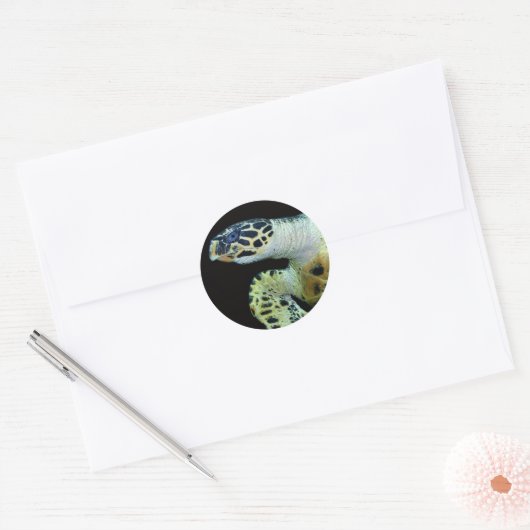 Leatherback Zee Turtle Stickers (Envelop)