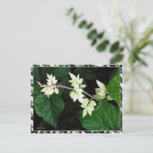 Leaves Briefkaart (Staand voorkant)