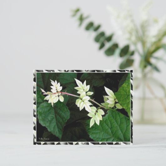 Leaves Briefkaart (Staand voorkant)