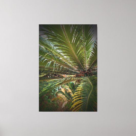 Leaves Canvas Afdruk (Voorkant)