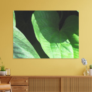 Leaves Closeup in Light and Shadow Canvas Afdruk