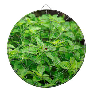 Leaves Dartbord