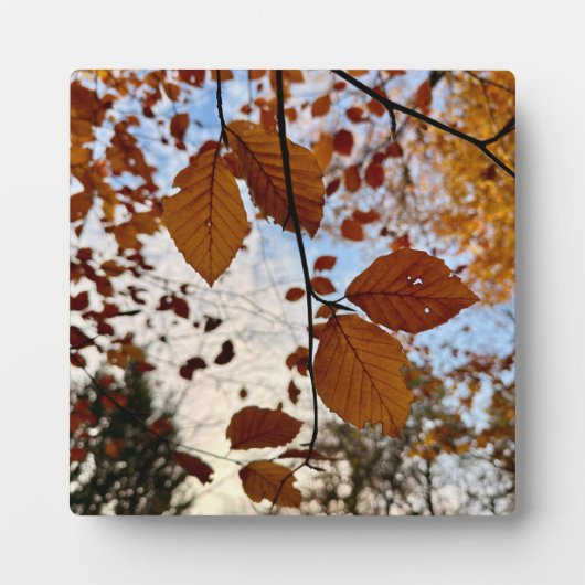 Leaves Fotoplaat (Voorkant)