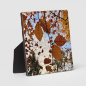 Leaves Fotoplaat (Voorkant)