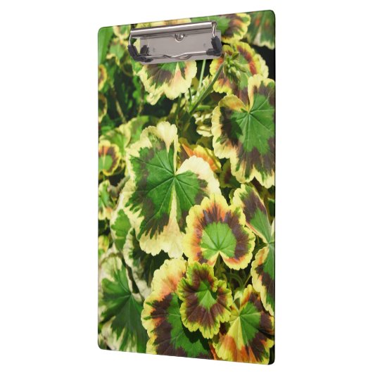 Leaves Klembord (Links)