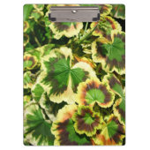 Leaves Klembord (Voorkant)