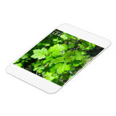 Leaves Magneet (Linkerzijde)