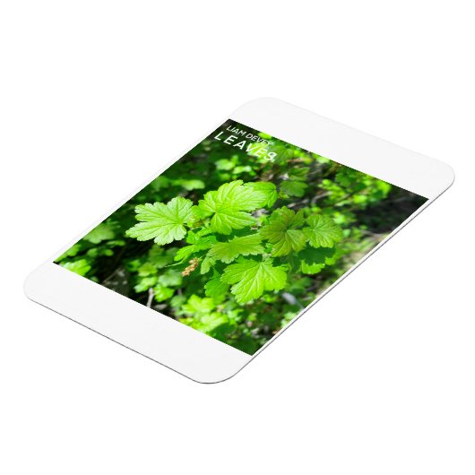 Leaves Magneet (Linkerzijde)