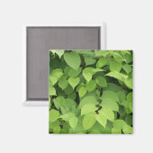 Leaves Magneet (Voorkant / Achterkant)