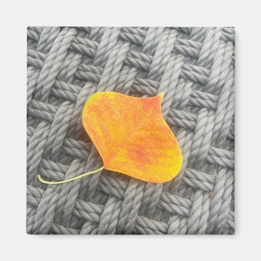 Leaves Magnet (Voorkant)