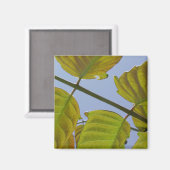 Leaves Magnet (Voorkant / Achterkant)