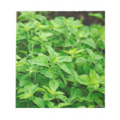Leaves Notitieblok (Voorkant)