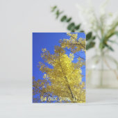 Leaves, Oak Creek, Sedona, AZ Briefkaart (Staand voorkant)