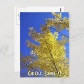 Leaves, Oak Creek, Sedona, AZ Briefkaart (Voorkant / Achterkant)