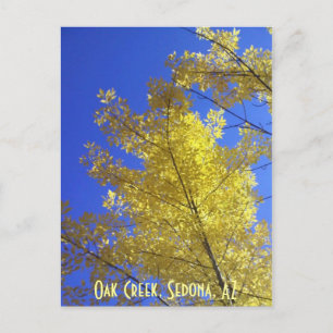 Leaves, Oak Creek, Sedona, AZ Briefkaart