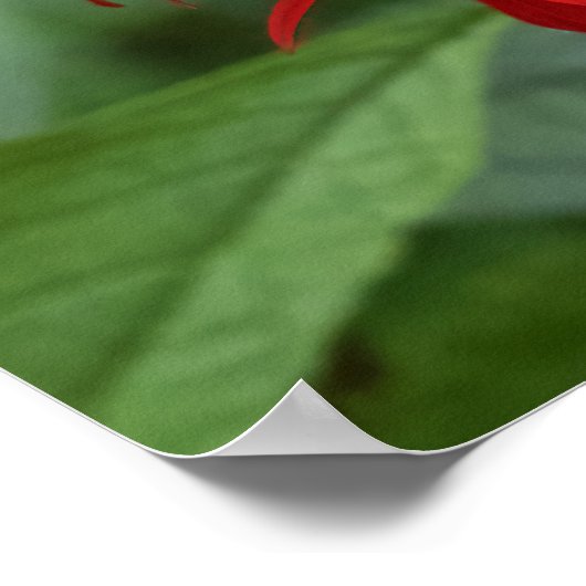 Leaves of Red Poster (Hoek)