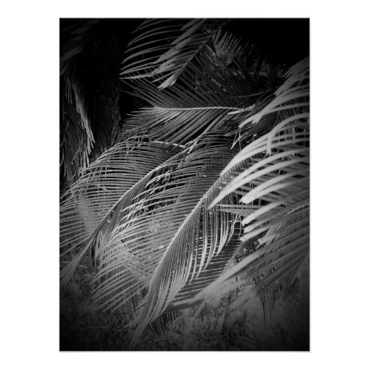 Leaves Perfect Poster (Voorkant)