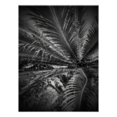 Leaves Perfect Poster (Voorkant)