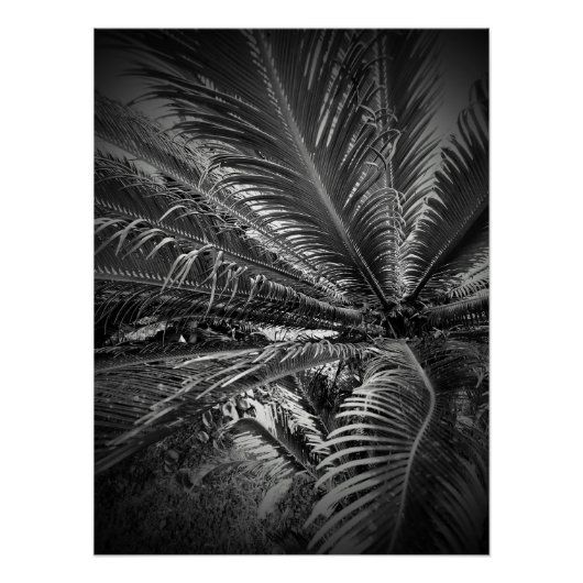 Leaves Perfect Poster (Voorkant)