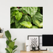 Leaves Poster (Thuiskantoor)