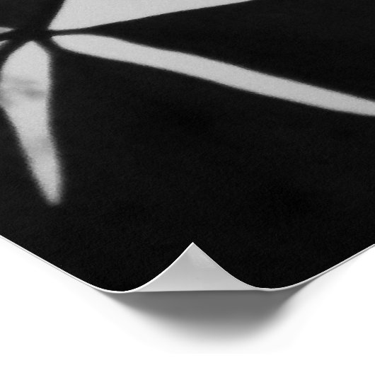 Leaves Poster (Hoek)