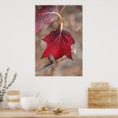 Leaves Poster (Keuken)