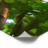 Leaves Poster (Hoek)