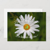 Lebe Dein Leben. Du hast nur das eine! Briefkaart (Voorkant / Achterkant)