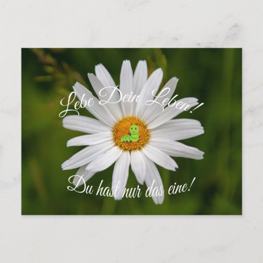 Lebe Dein Leben. Du hast nur das eine! Briefkaart (Voorkant)