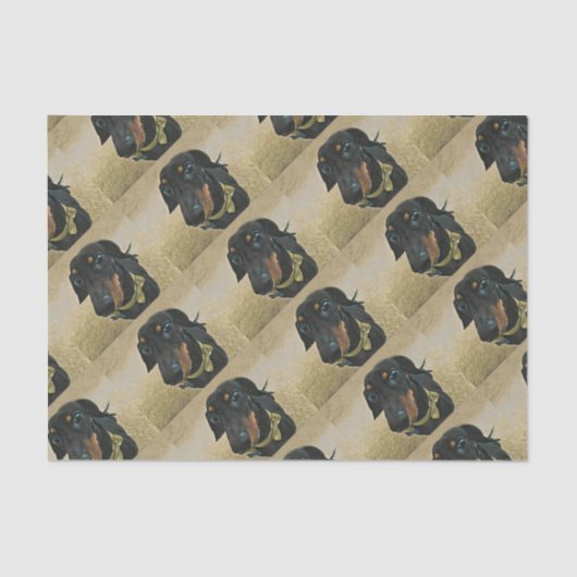 LeBron de Dachshund Wrapping paper. Tissuepapier (Voorkant)