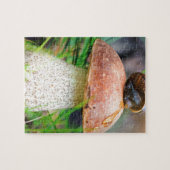 Leccinum op gras met slak legpuzzel (Horizontaal)