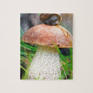 Leccinum op gras met slak legpuzzel