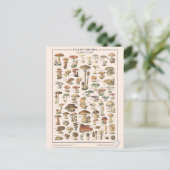 Leçons de choses les champignons briefkaart (Staand voorkant)