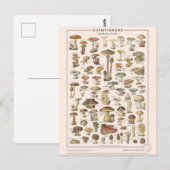 Leçons de choses les champignons briefkaart (Voorkant / Achterkant)