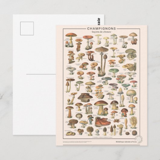 Leçons de choses les champignons briefkaart (Voorkant / Achterkant)