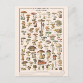 Leçons de choses les champignons briefkaart (Voorkant)