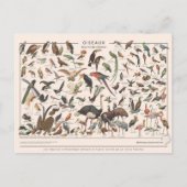 Leçons de choses les oiseaux briefkaart (Voorkant)