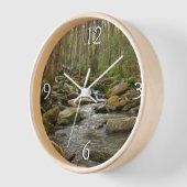 LeConte Creek in Great Smoky Mountains (Hoek)