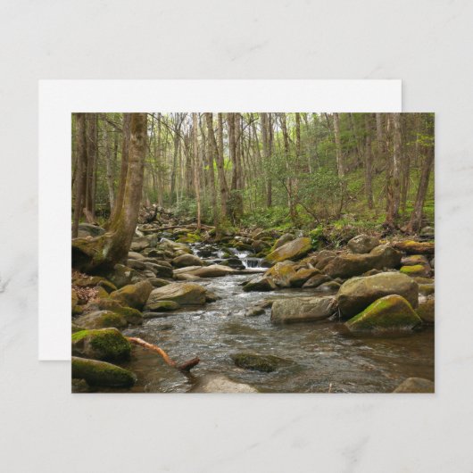 LeConte Creek in Great Smoky Mountains (Voorkant / Achterkant)