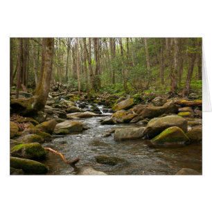 LeConte Creek in Great Smoky Mountains