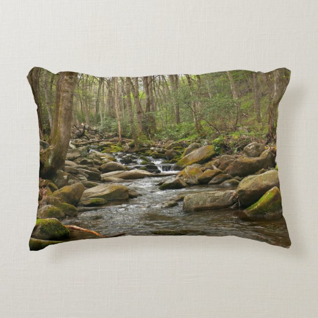 LeConte Creek in Great Smoky Mountains Accent Kussen (Voorkant)