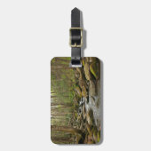 LeConte Creek in Great Smoky Mountains Bagagelabel (Voorkant verticaal)