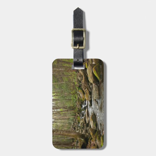 LeConte Creek in Great Smoky Mountains Bagagelabel (Voorkant verticaal)