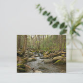 LeConte Creek in Great Smoky Mountains Briefkaart (Staand voorkant)