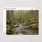 LeConte Creek in Great Smoky Mountains Briefkaart (Voorkant / Achterkant)