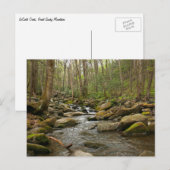 LeConte Creek in Great Smoky Mountains Briefkaart (Voorkant / Achterkant)