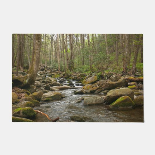 LeConte Creek in Great Smoky Mountains Deurmat (Voorkant)
